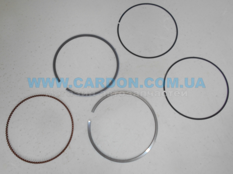 ������ ��������� (���� �������)  - ���� 2