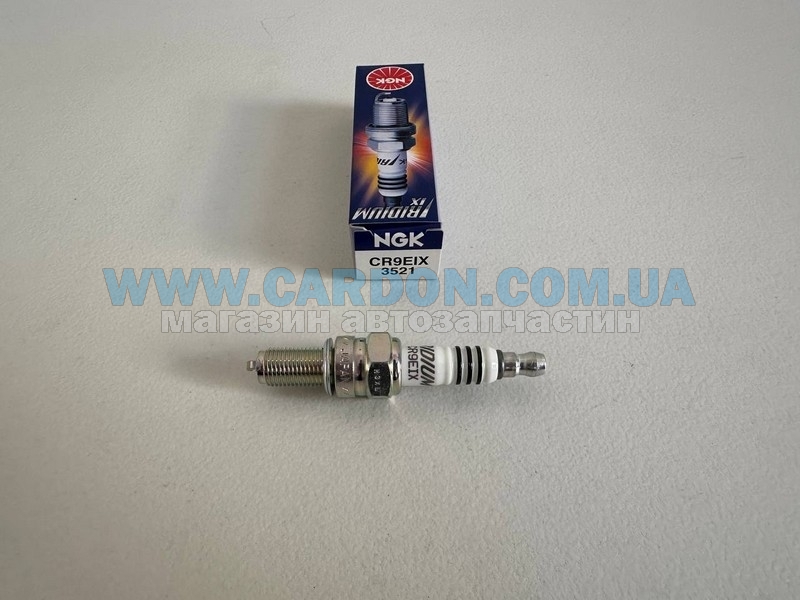   NGK (3521) RIDIUM -  1