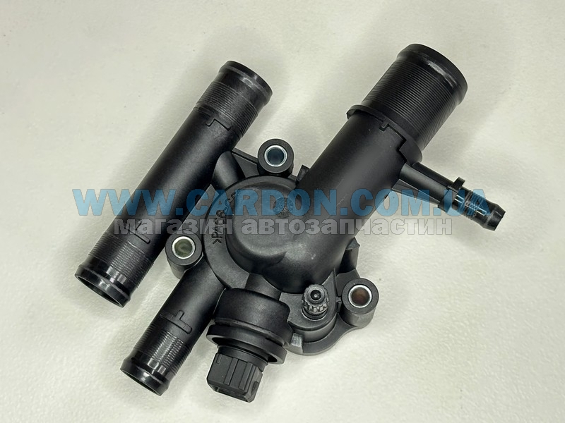  ,   OEM RENAULT Laguna, Clio, Master, Megane, Scenic, Kangoo, Trafic -  2