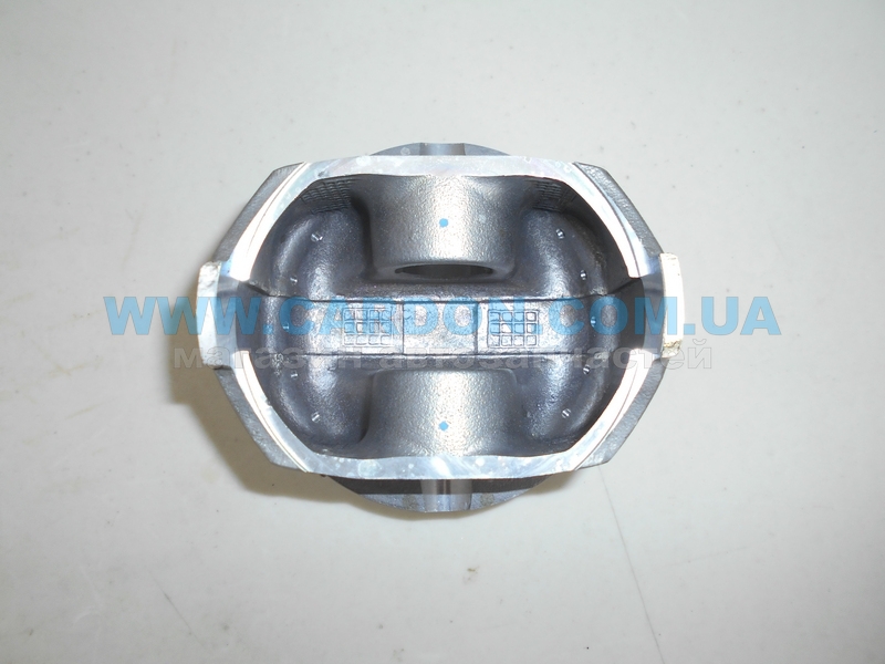 ������� STD - ���� 2