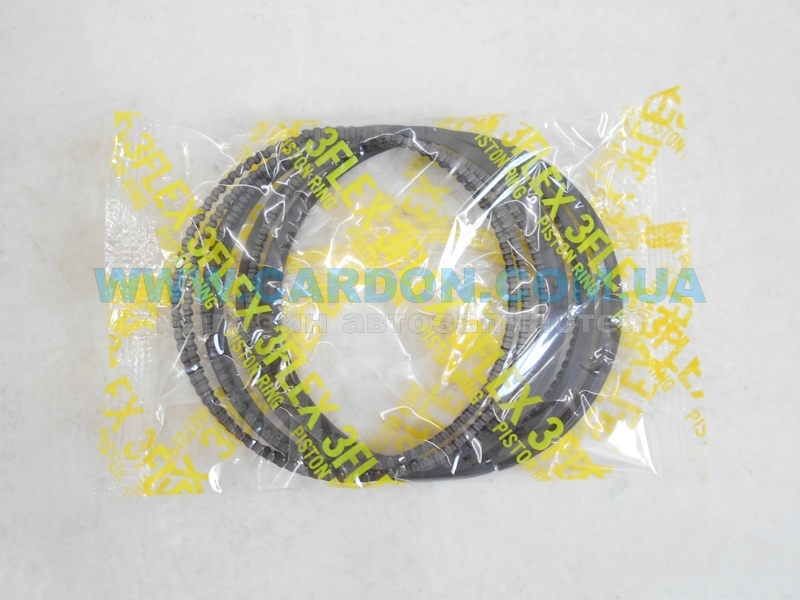 ʳ  TP STD 81.00 mm (1.2 X 1.2 X 2.0) HONDA RZP -  4