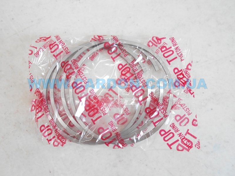 ʳ  TP 73.60 mm + 0.50 = 74.10 mm (1.5 X 1.5 X 2.8) NISSAN GA14 R-VY10/VFY10(87A10) -  3