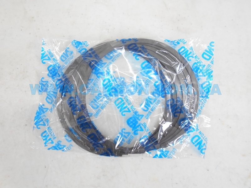 ʳ  TP 95.50 mm + 0.50 = 96.00 mm (1.2 X 1.2 X 2.5) Nissan VQ35DE -  2