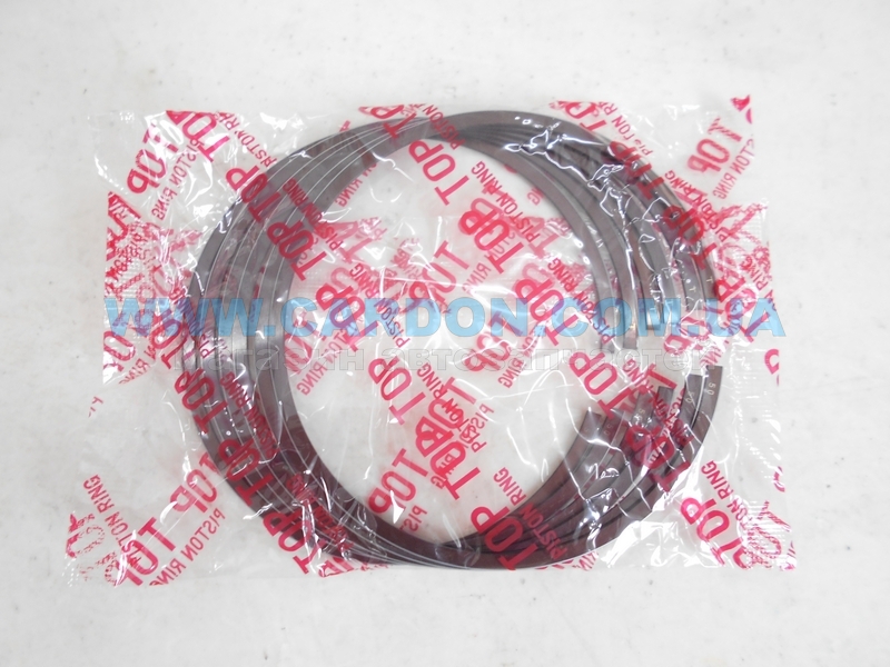 ʳ  TP 95.50 mm + 0.50 = 96.00 mm (1.2 X 1.2 X 2.5) Nissan VQ35DE -  3