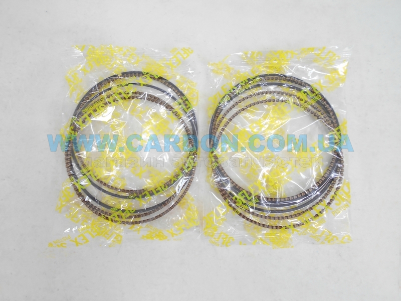 ʳ  TP 95.50 mm + 0.50 = 96.00 mm (1.2 X 1.2 X 2.5) Nissan VQ35DE -  4