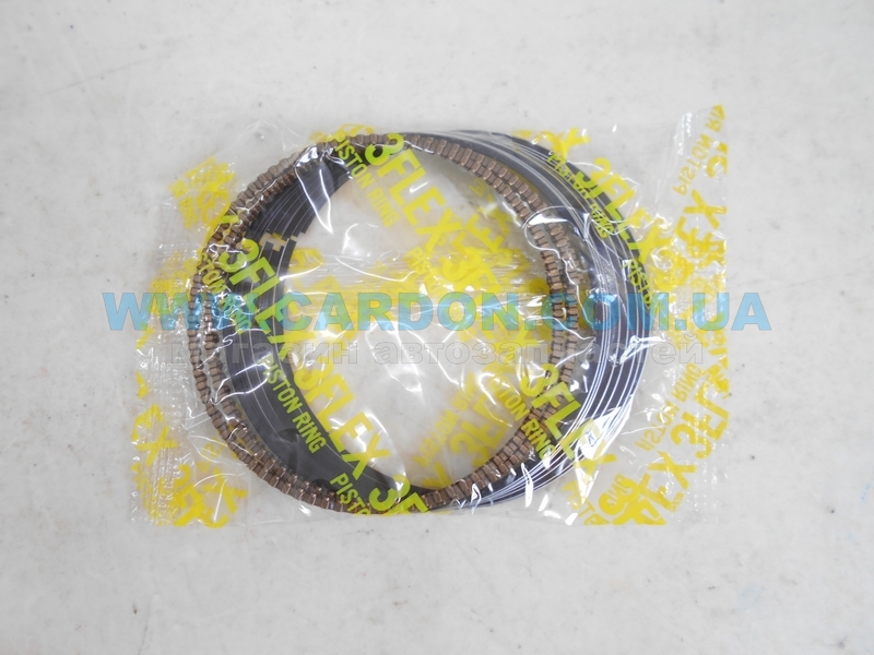 ʳ  TP STD 77.00 mm (1.2 X 1.2 X 2.0) Hyundai / Kia GAMMA 1.4 / 1.6 -  4