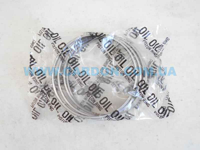 ʳ  TP 75.00 mm + 0.50 = 75.50 mm (1.75 X 1.75 X 3.0) Hyundai AVANTE XD -  4