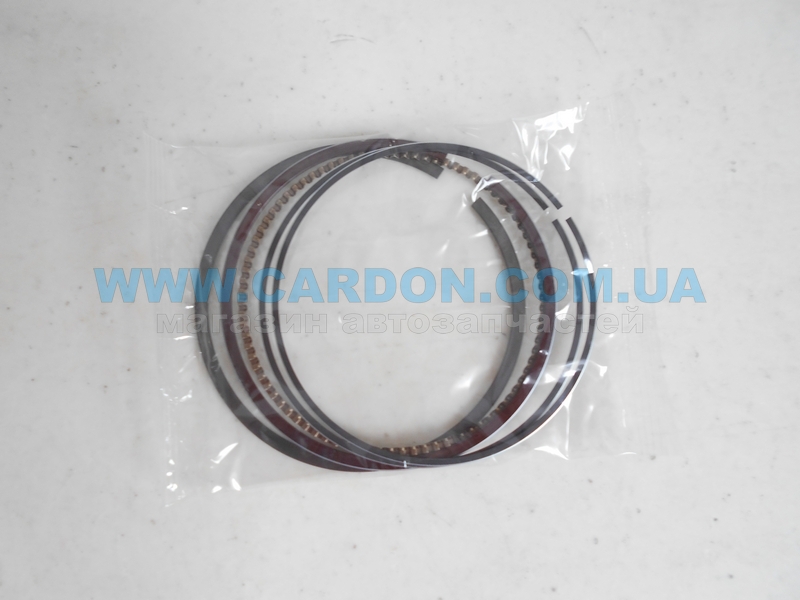 ʳ���� ������� TP STD 79.00 mm (1.2 X 1.2 X 2.0) GM Z 1.6XEP - ���� 2