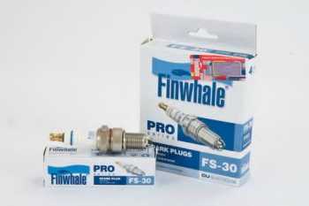 FS30   - Finwhale