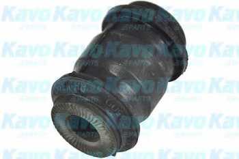 SCR3048 ,     - KAVO