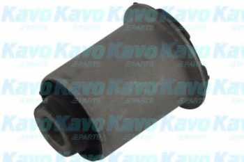 SCR3001 ,     - KAVO