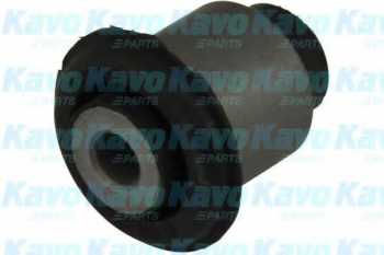 SCR2022 ,     - KAVO