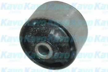 SCR3016 ,     - KAVO