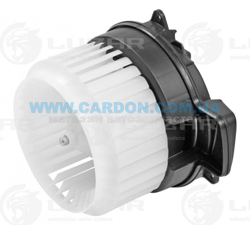 LFh1877   A6 (C7) (11-) - LUZAR