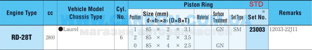 23003STD   STD (-  ) RD28 - RIKEN