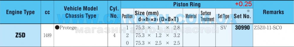 30990025   - RIKEN