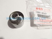  12891-65J01   J20A       