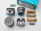  1300500039-21   (+0.50) (-  ) Volkswagen AWT,AWM,AWP,AUQ,ARX,ARY,AUM,AVJ,BKF,BVP,BVR   