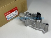  15810-RNA-A01   VTEC     