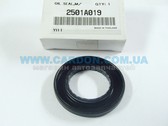  2501A019     32x53x7     
