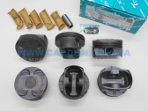  31134STD  STD (-  ) Chrysler,Dodge,Jeep Pentastar 3,6L   