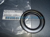  38342-06R01      