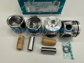  41289600   (  ) Y13DT/Z13DT   