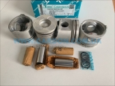  44671AG050   (+0.50) (-  ) Nissan YD25TDI Alfin Gallery   