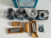  51608AG050   (+0.50) (-  ) Hyundai D4CB Tci Alfin Gallery    