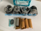  6640300917   (  ) Ssang Yong D20DT, D20T   