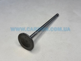  IMB0351   IN     