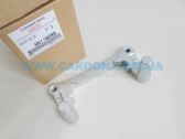  MN116285    Grandis   