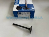  NEV503IN   IN     