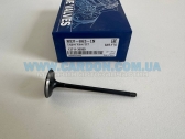  NEV863IN   IN Toyota 8AR-FTS   
