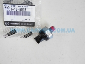  PE01-18-501B        